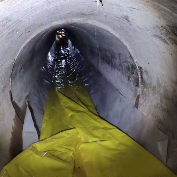 阿拉善右管道光固化修复